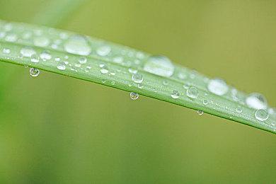 《使命召唤：战区2》Steam玩家数突破40万 太火爆了